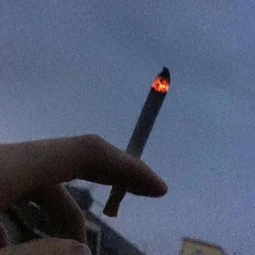 人生如茶