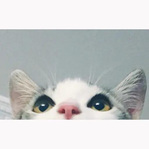 亮亮也是酿酿@抖音