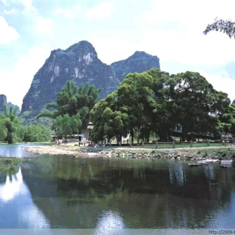 玲姐