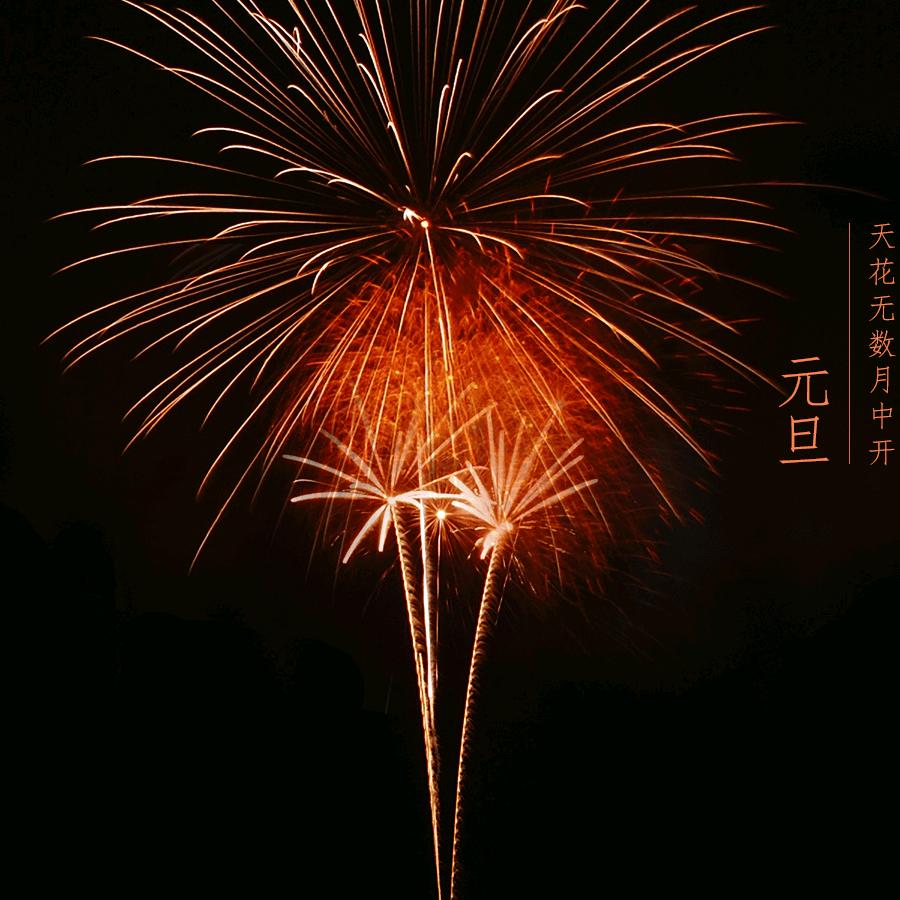 你会看我的视频吗？看看小白兔吧。