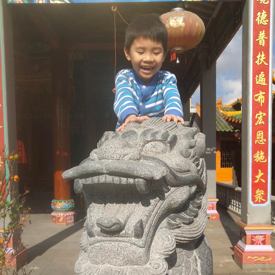 灰大狼