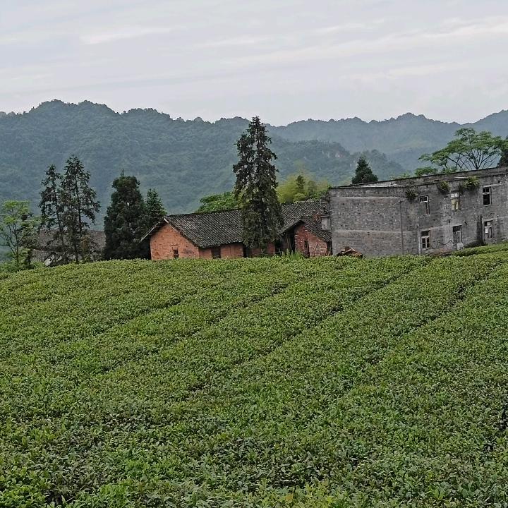 🐇⁰⁵.₃₀刘℘࿐