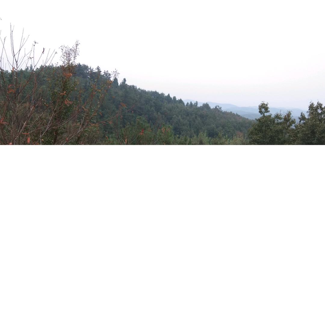 世界如此美好:)