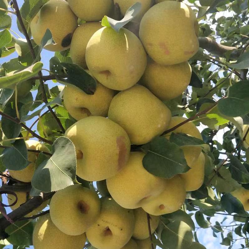 漂泊在外