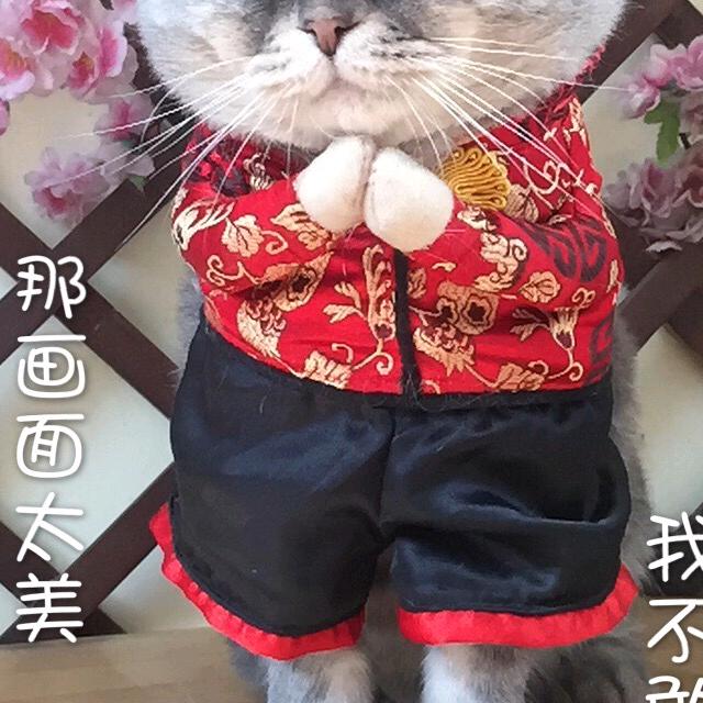 嘟皮安毛
