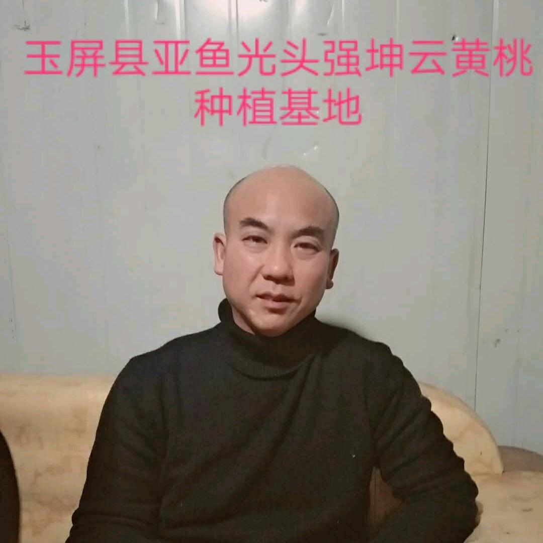 贵州光头强黄桃种植基地