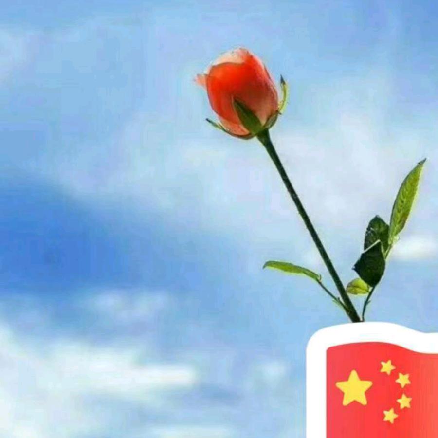 多财多亿😎🐰😎🐰