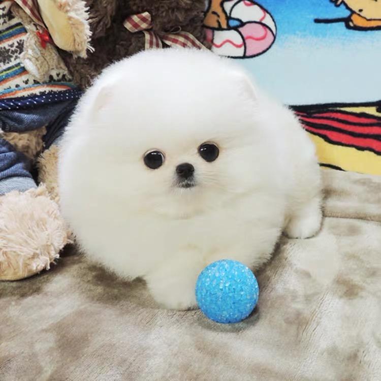 拆迁问题可以咨询我 点个关注只回复私信