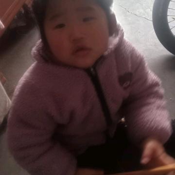 迪迪无王