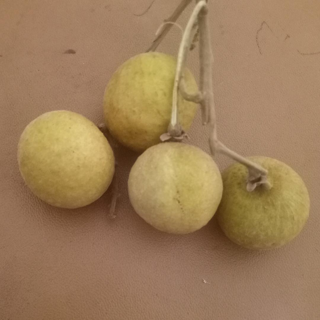 用户4790480、949978