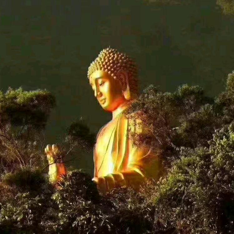 莲姐
