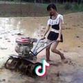 陌熙歌