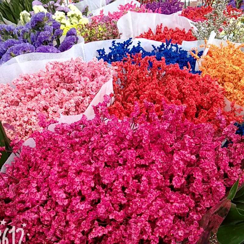 ℋღ᭄࿐好运🍒爆᭄张💞࿐