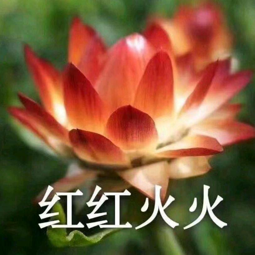 恍恍惚惚