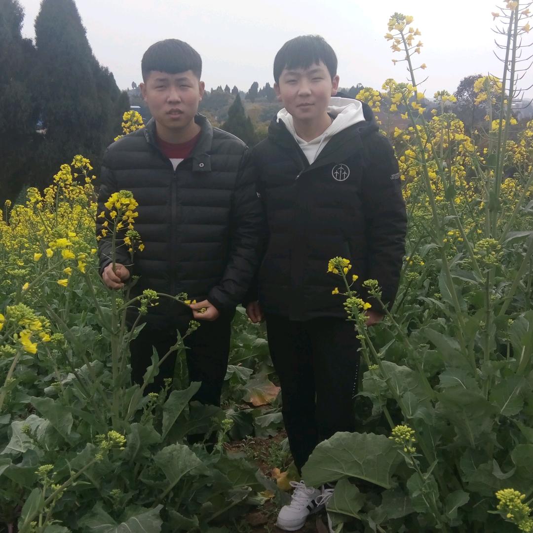 梦幻之域682