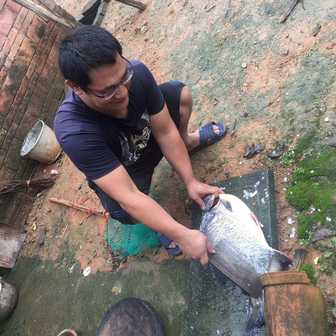 半生以过学会沉默