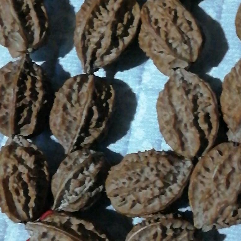 用户1956994301371飘来飘去