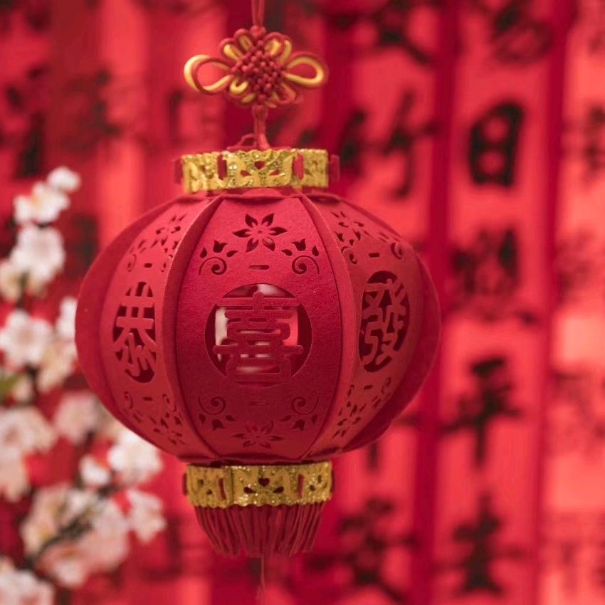 蜗牛带我去散步