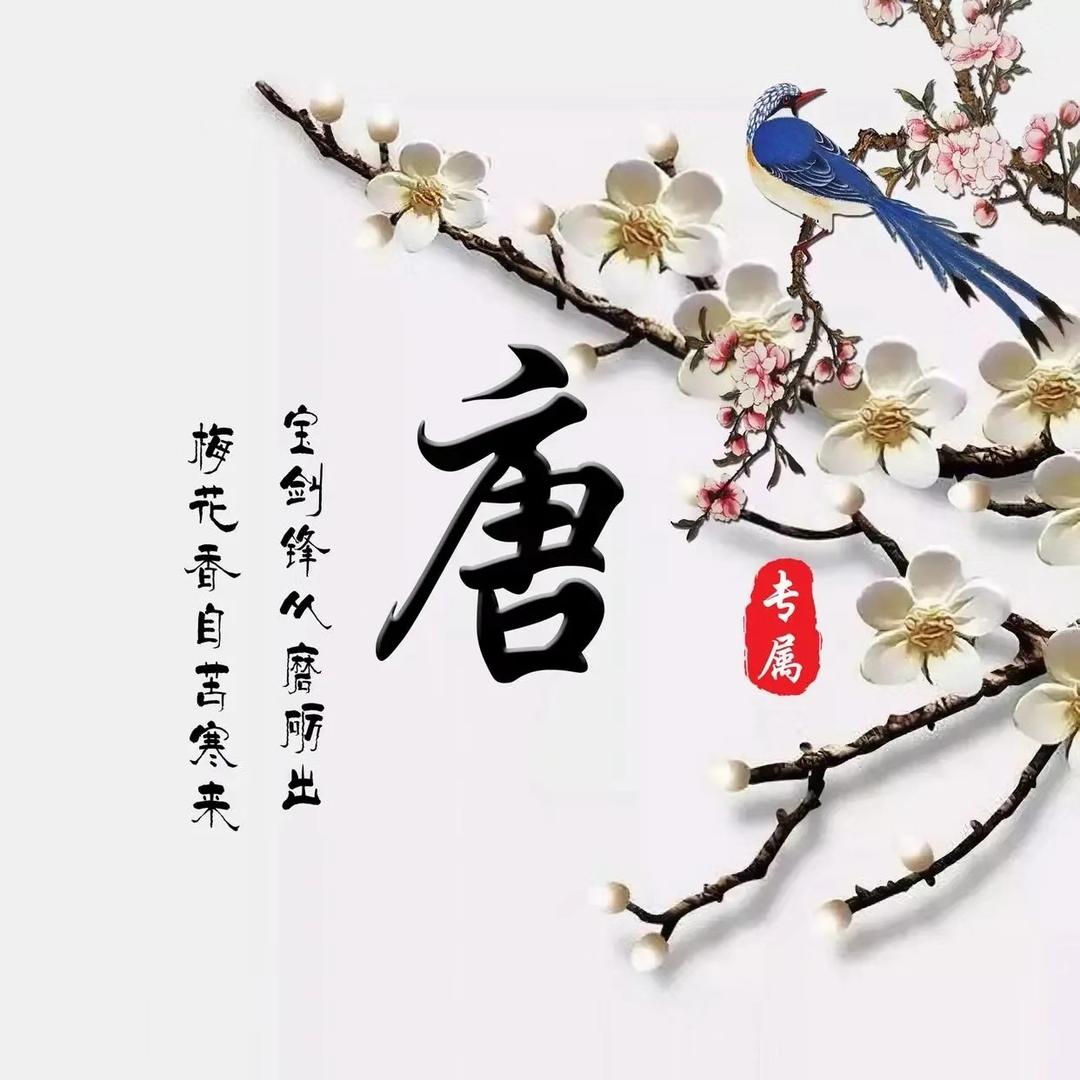 ACE小八