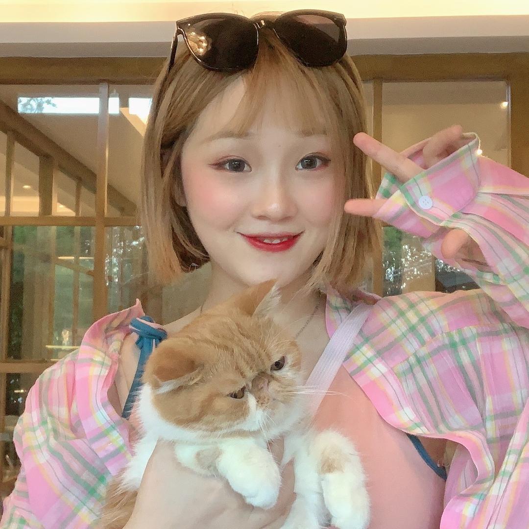 丸子呀@抖音