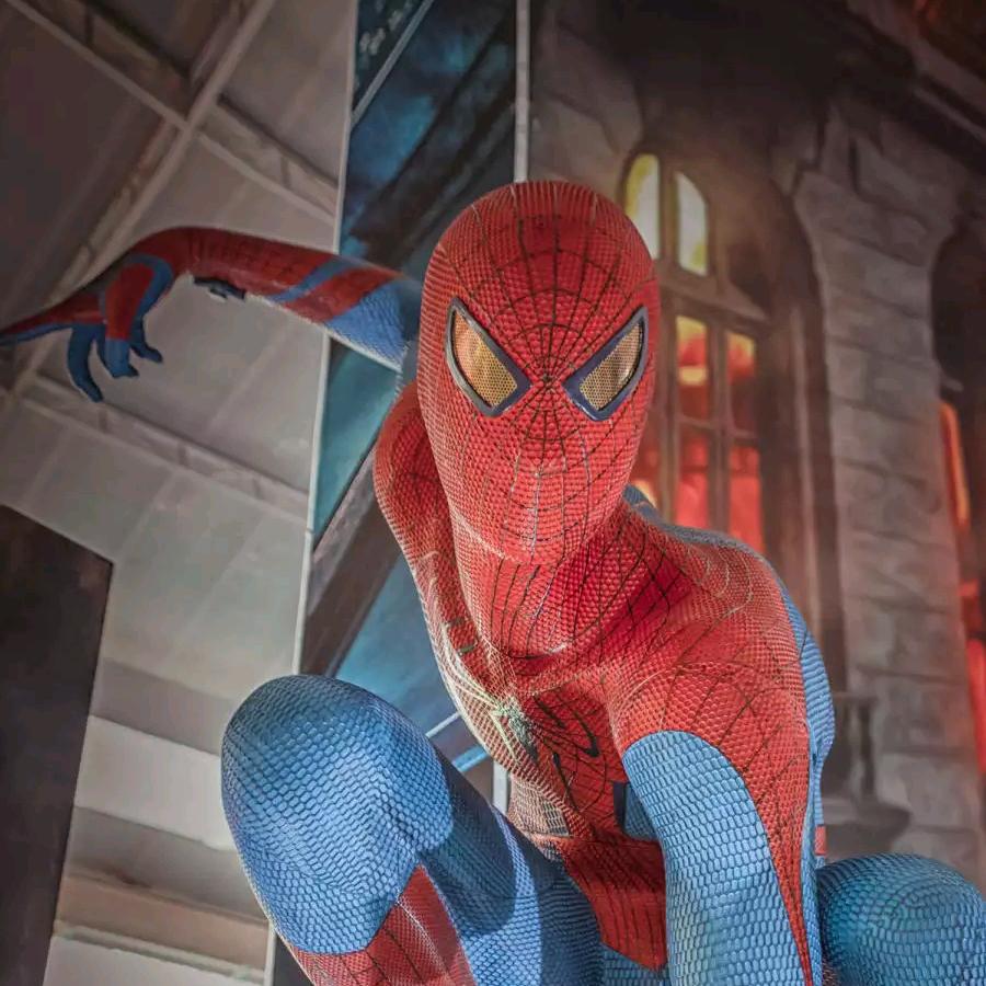 梦到自己是蜘蛛侠