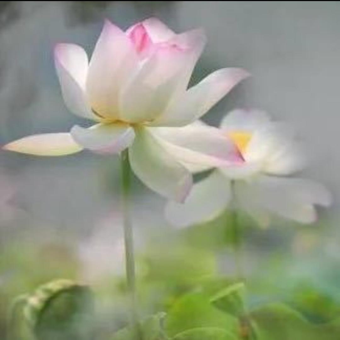 惜福