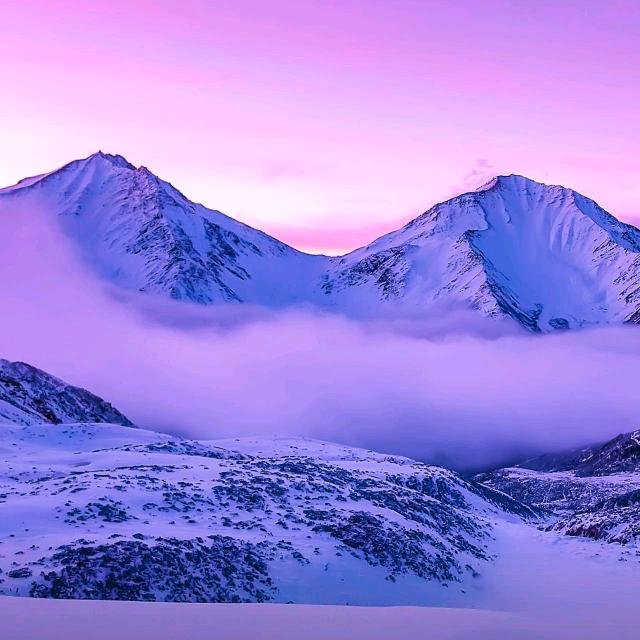 奥特洗莱福洗衣官方号