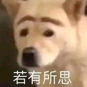 周C曦
