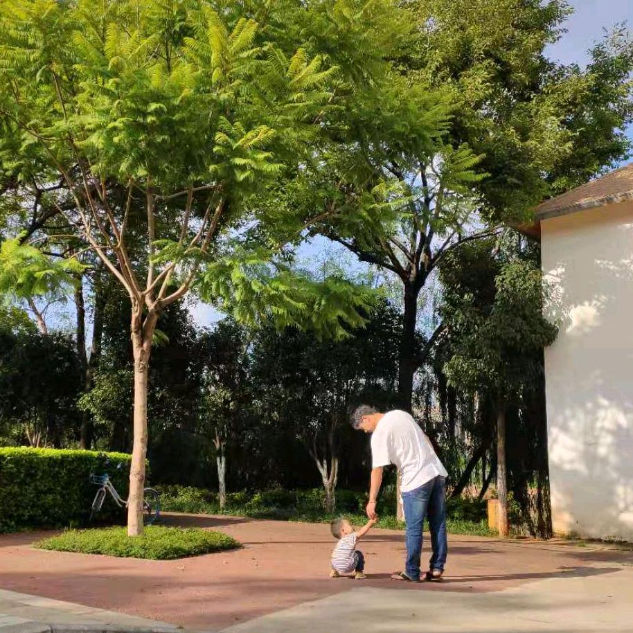 油炸可乐