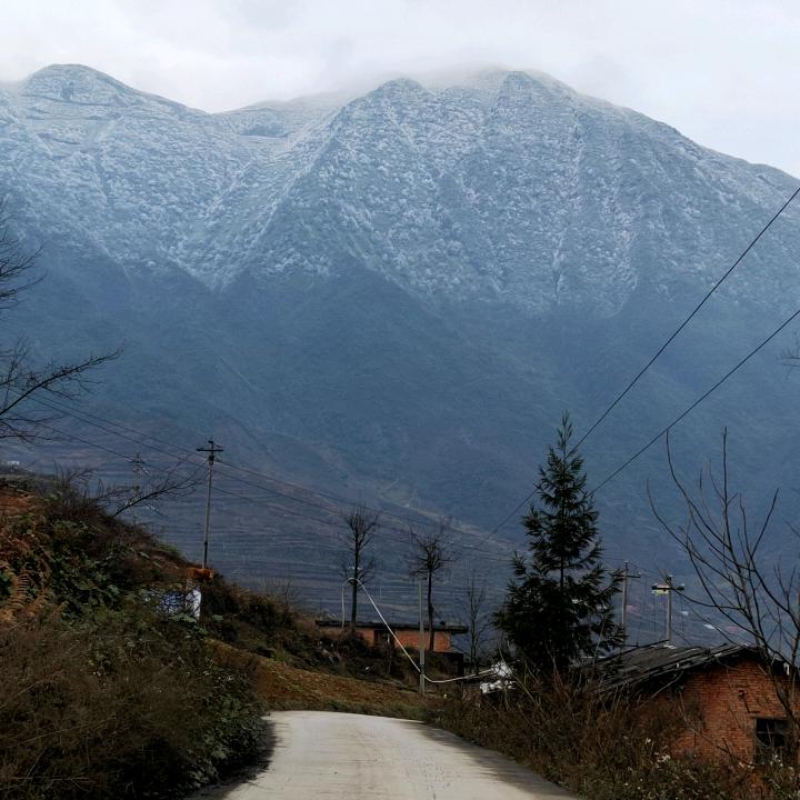 封心锁爱