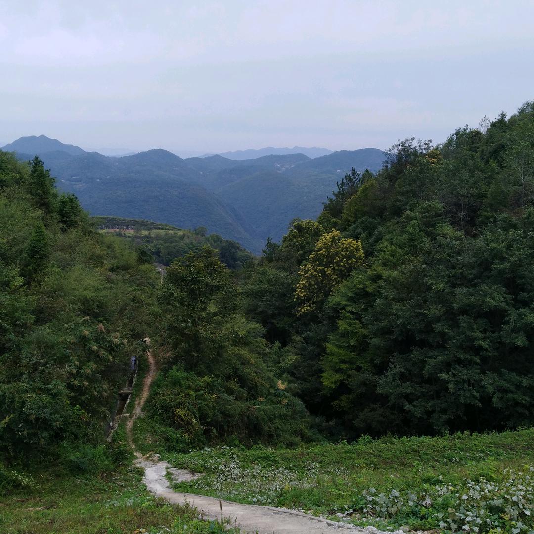 愉悦心情