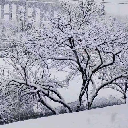 雪花