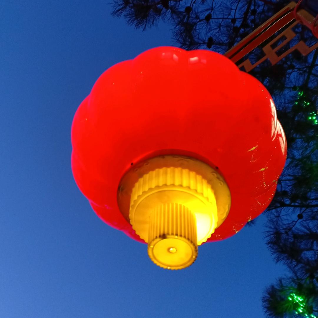 开心姐