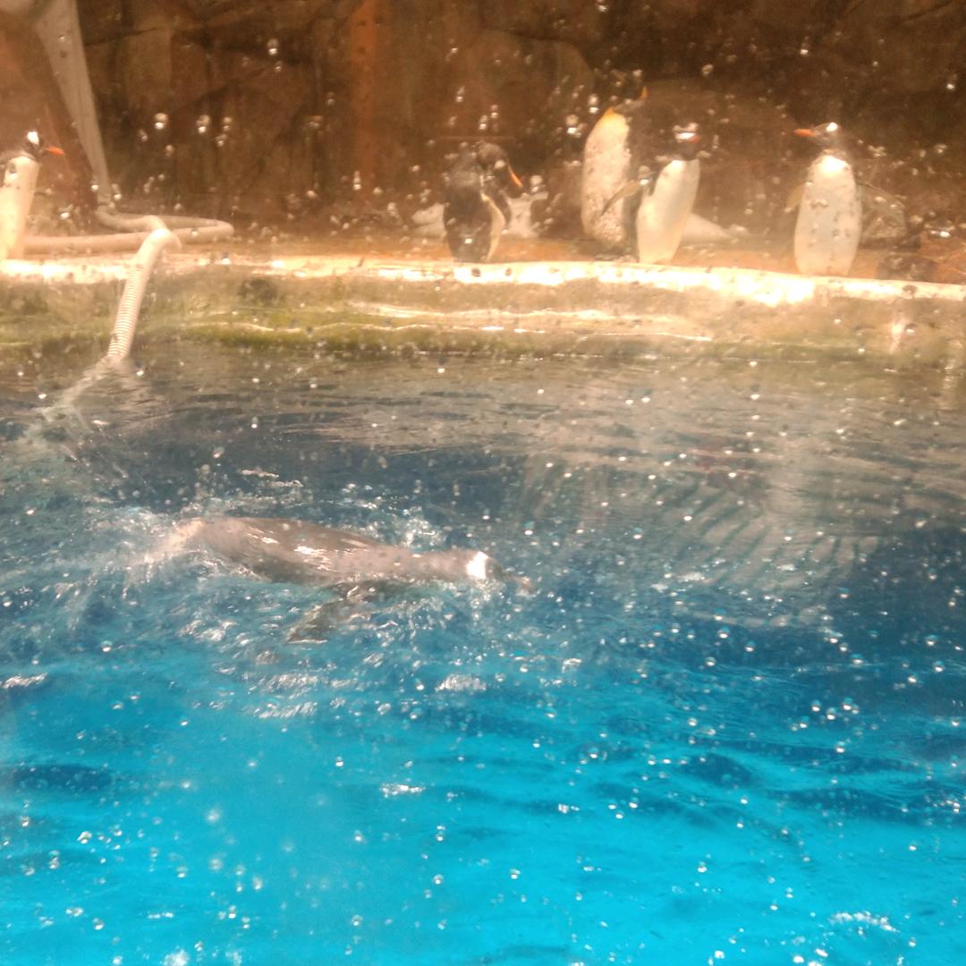 幸福@约定（肖丽）