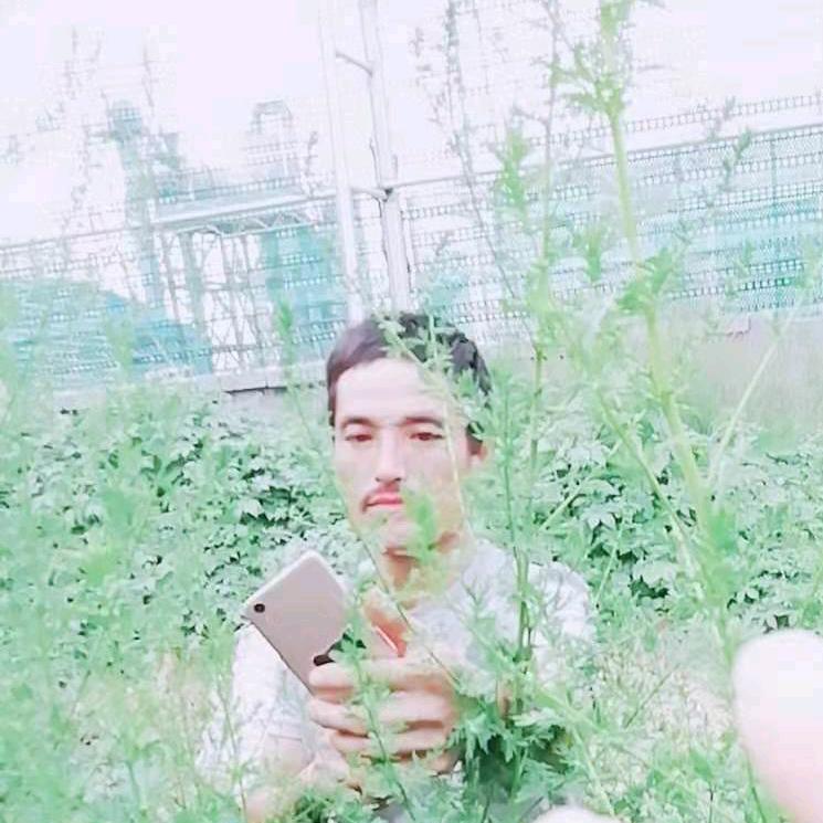 秋经不懂非装懂