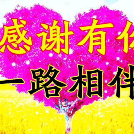 忘记过去，从新开始！