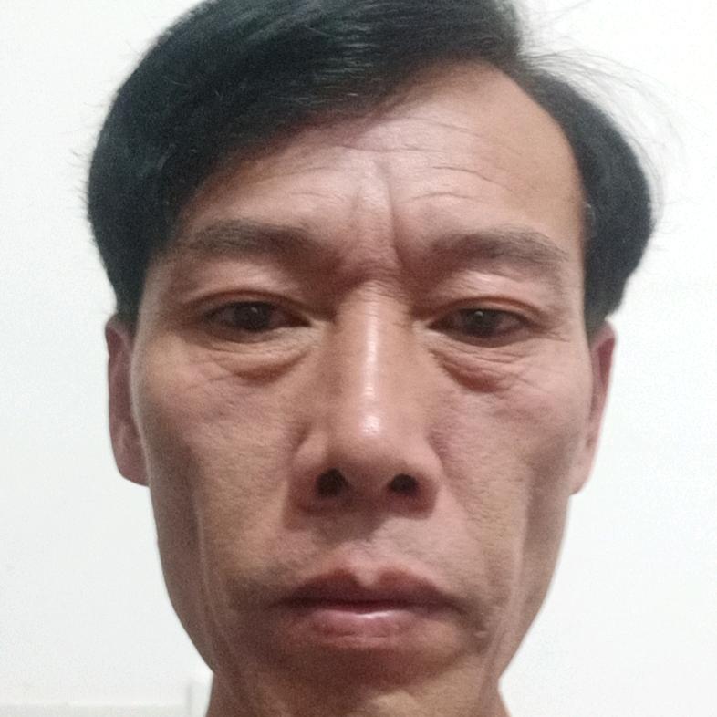 金牛