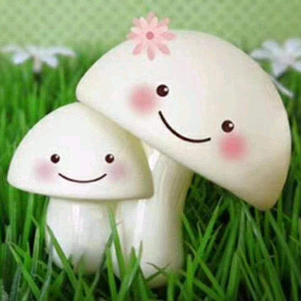 旭日东升