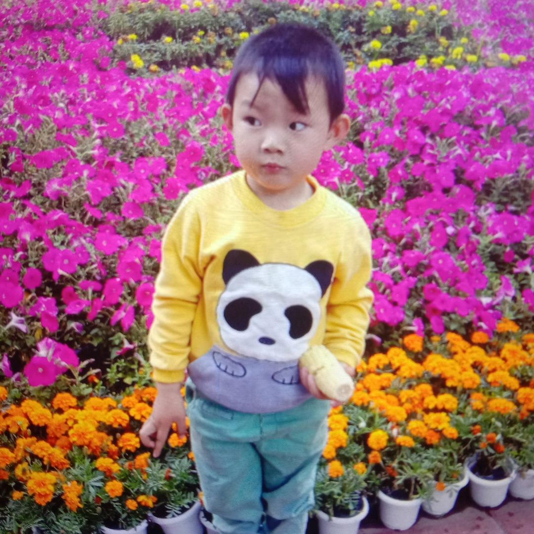 陈浩宇
