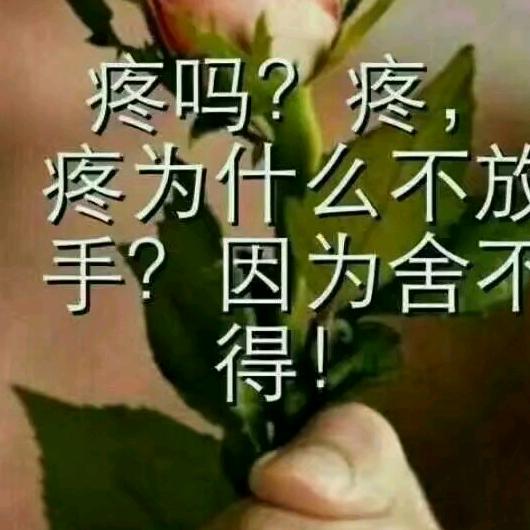 时光不老