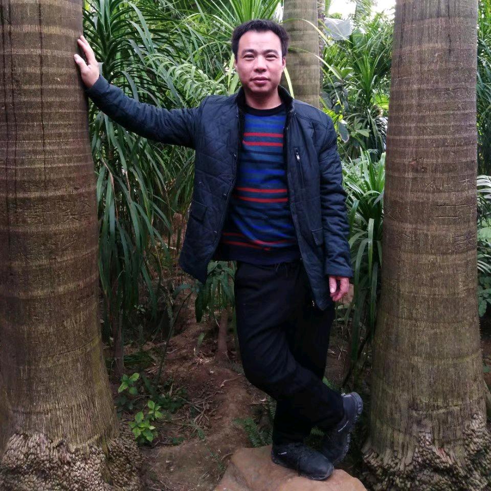 A创新厨饰吸塑门亚克力