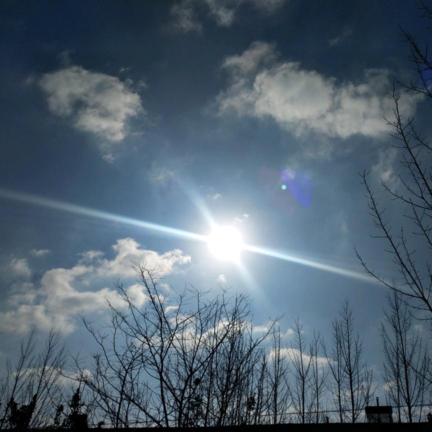 🌈一叶*乒乓🍀