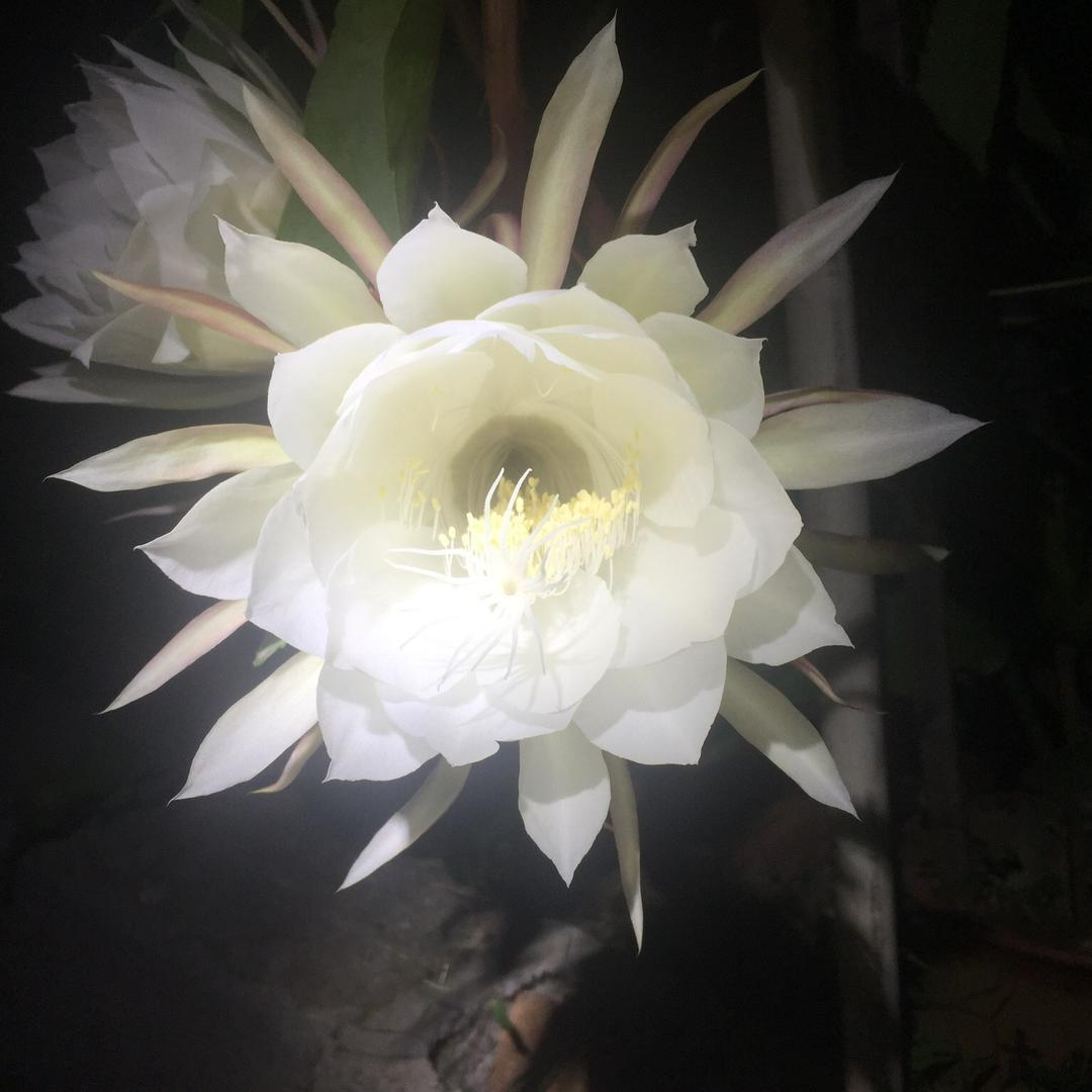 不听话没人疼