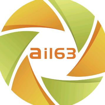 Ai163