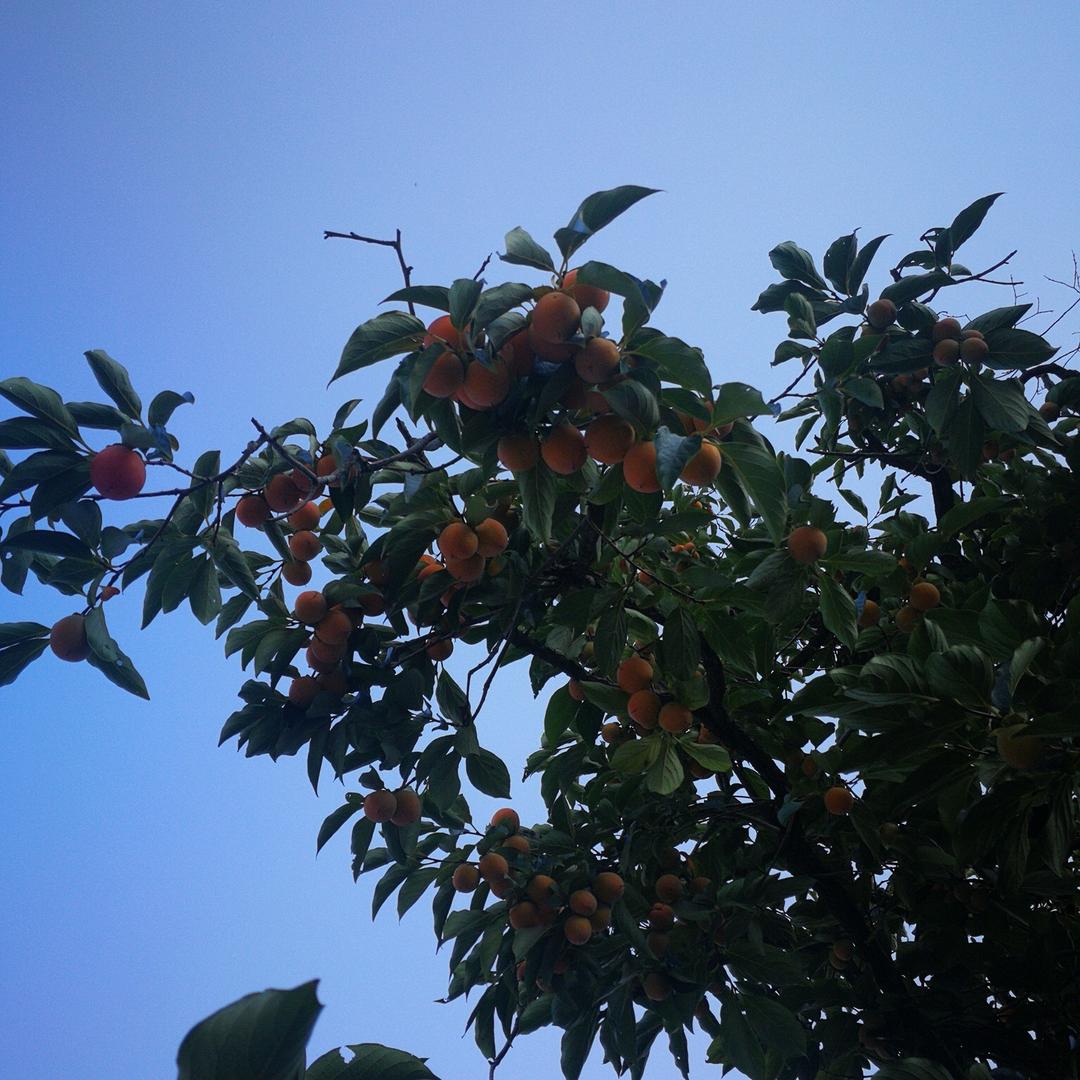 四月