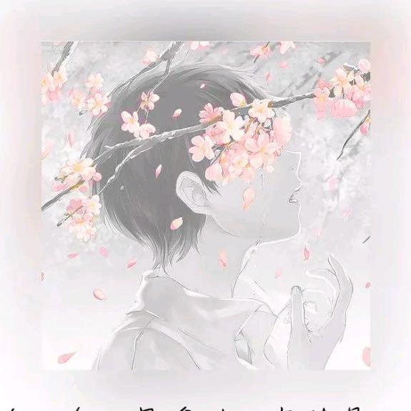 林夕儿