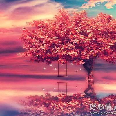 么么哒的小公主👑（手机摄影）