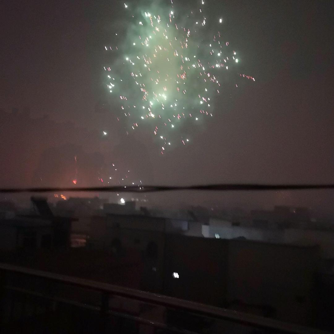 游子