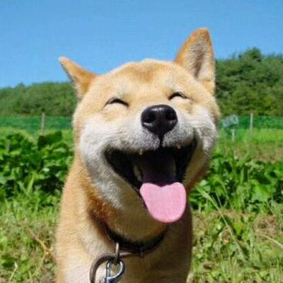 三十.一匹狼