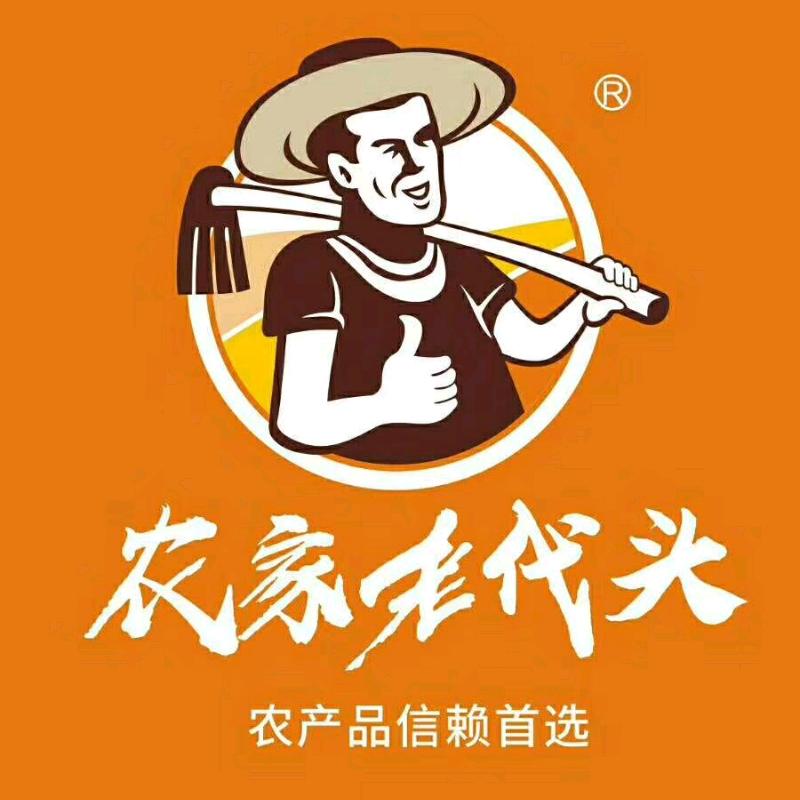 农家老代头